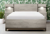 Zephyr Queen Wall Bed