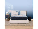 Serta Perfect Sleeper Best Day Medium King Mattress